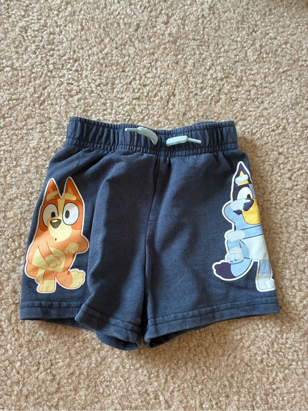 Bluey Shorts